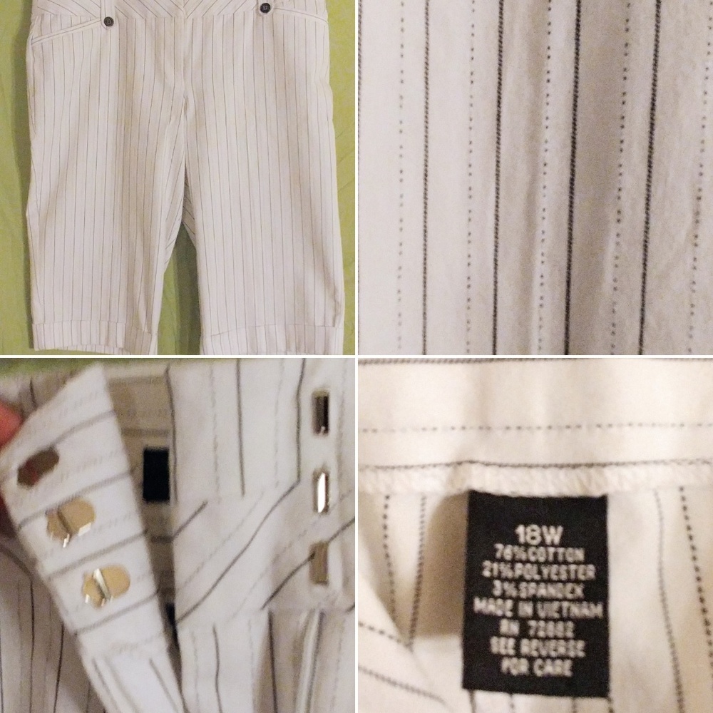 Size 18W Studio 1940 Capri Pants